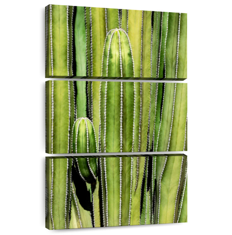 Superposition de cactus Harnek, H 45 po x l 28 po