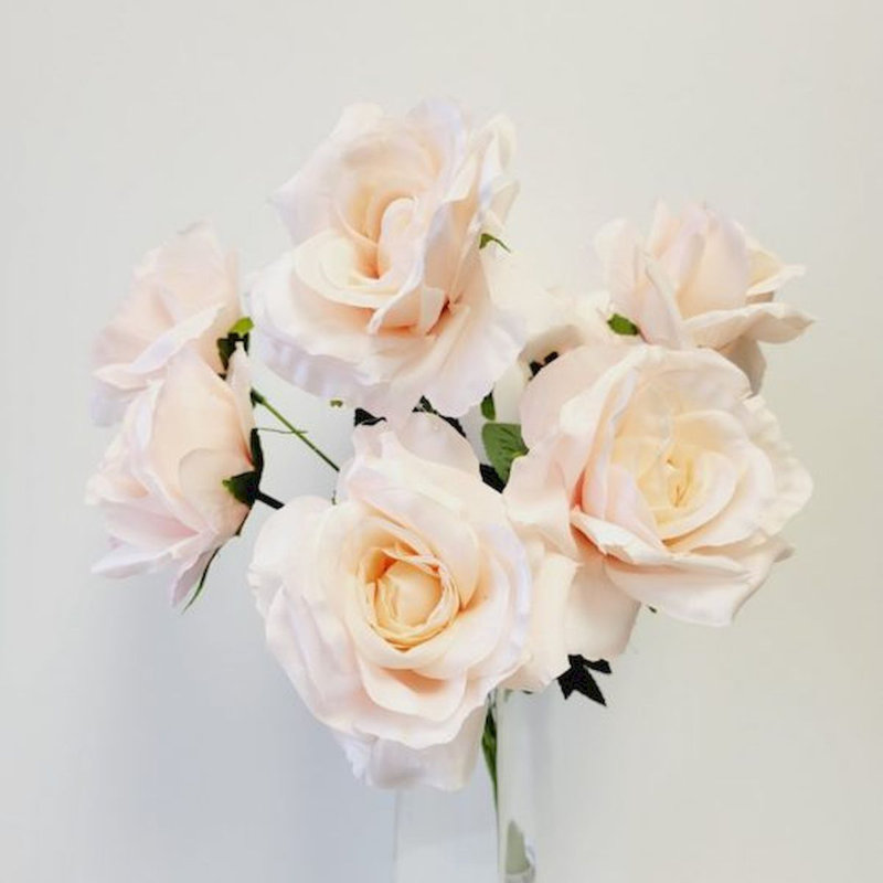 Rosiers, Rosé