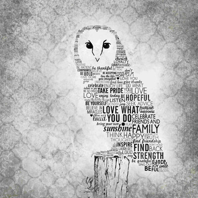 " Typography Owl "