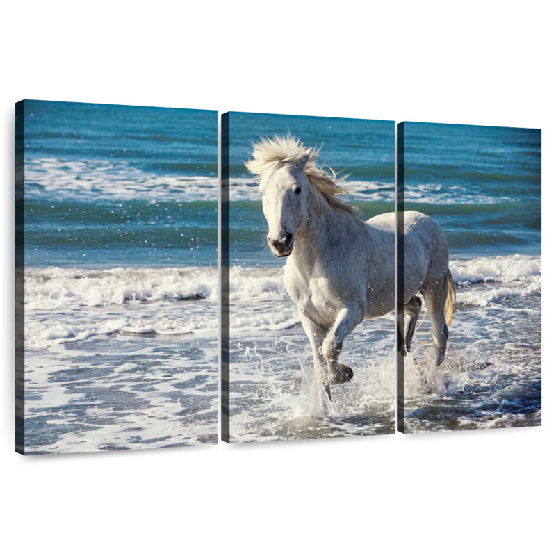 Camargue qui court sur la plage, H 32 po x l 50 po
