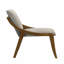 Chaise d'appoint (ensemble de 2)