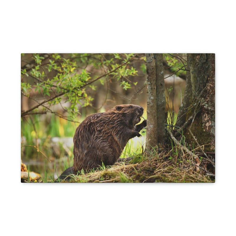 No Frame Print on Canvas, 30.48cm H x 40.64cm W