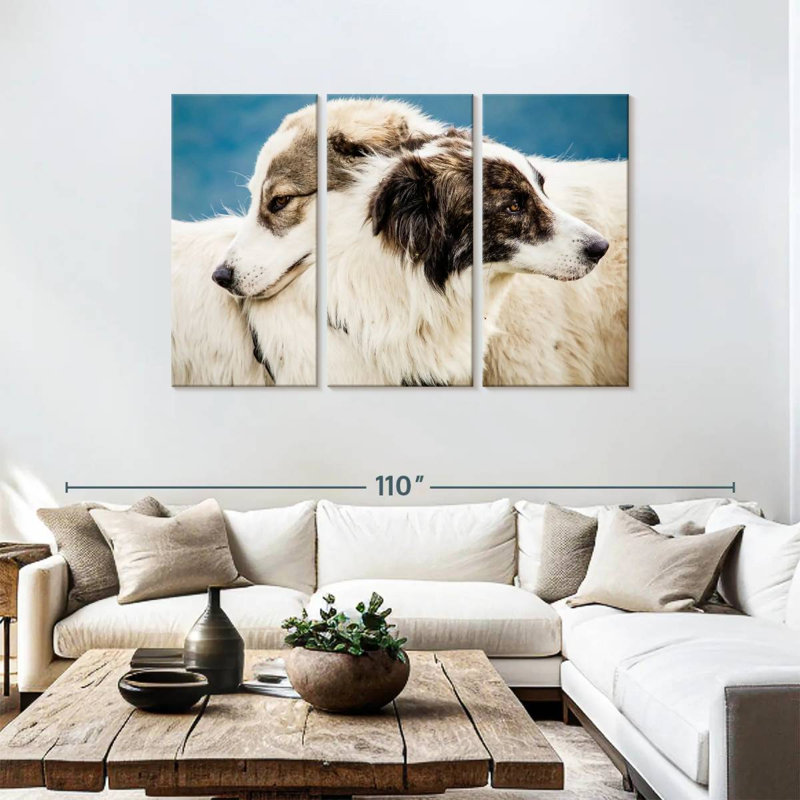 Brampt Australian Shepherd Dogs, 48" H x 74" W