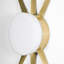 1 - Light LED Flush Mounted Sconce