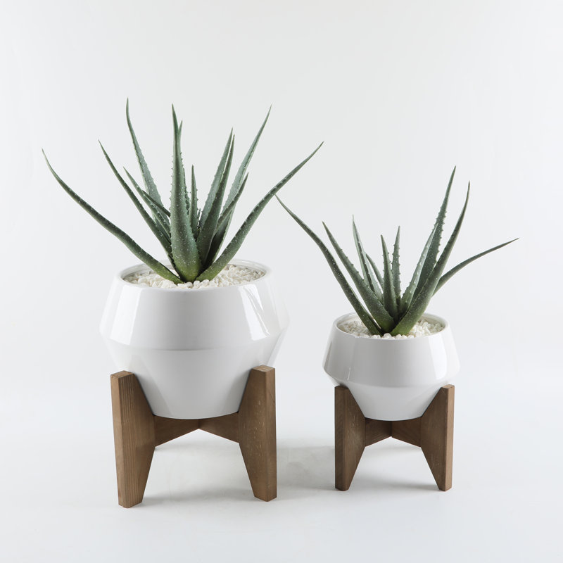 Livleen Handmade Ceramic Pot Planter