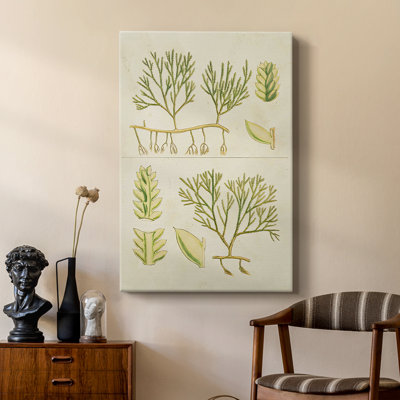 Herbe de mer rétro II - galerie Cavas sur mesure