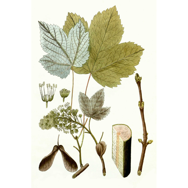 Feuilles d'érable IV, H 18 po x l 12 po