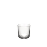 Glass Family Crystal Drinking Glass