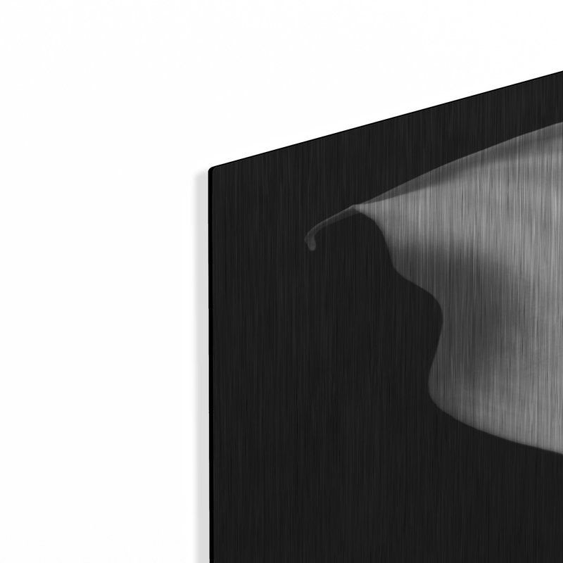 "Lily On Black 02" par Tom Quartermaine, H 36 po x l 24 po