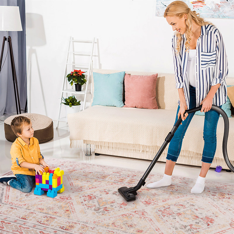 Large Area Rug, Washable Rug, Low-Pile, Non-Slip, Non-Shedding, Foldable, Kid & Pet Friendly - Area Rugs For Living Room, Bedroom, Kitchen 