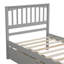 Santa Monica Platform Bed with Two Drawers-1700274923