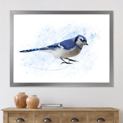 " Vintage Blue Jay Bird "