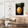 Yarlin Dark Lemon I