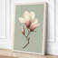 Magnolia in Bloom Botanical - Wrapped Canvas-464203497-464203498