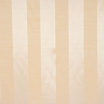 Picasso Fabric