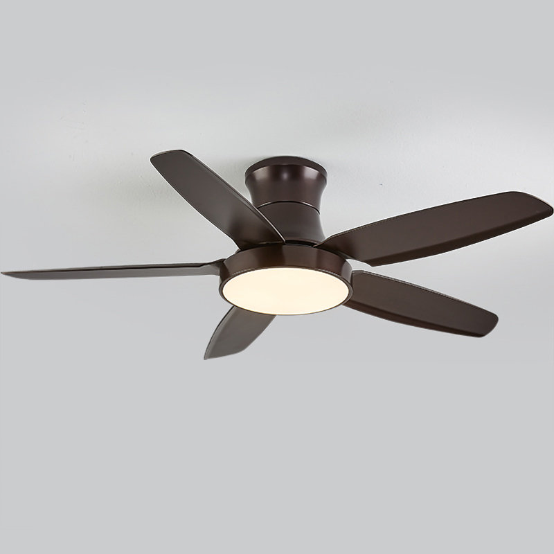 Andreano 122cm Ceiling Fan with LED Lights, Black