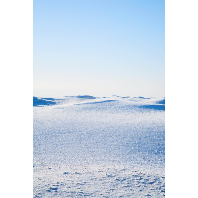 Snowy Tundra - Wrapped Canvas Print, 46cm H x 30cm W x 3.8cm D