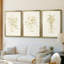Faded Flower Arrangment I - Toile tendue avec châssis sur mesure - 3 pièces-665391686-665391692