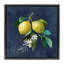 «Lemon Branches on Blue» par Danhui Nai-40573999-40574003