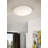 Pryor Glass Flush Mount