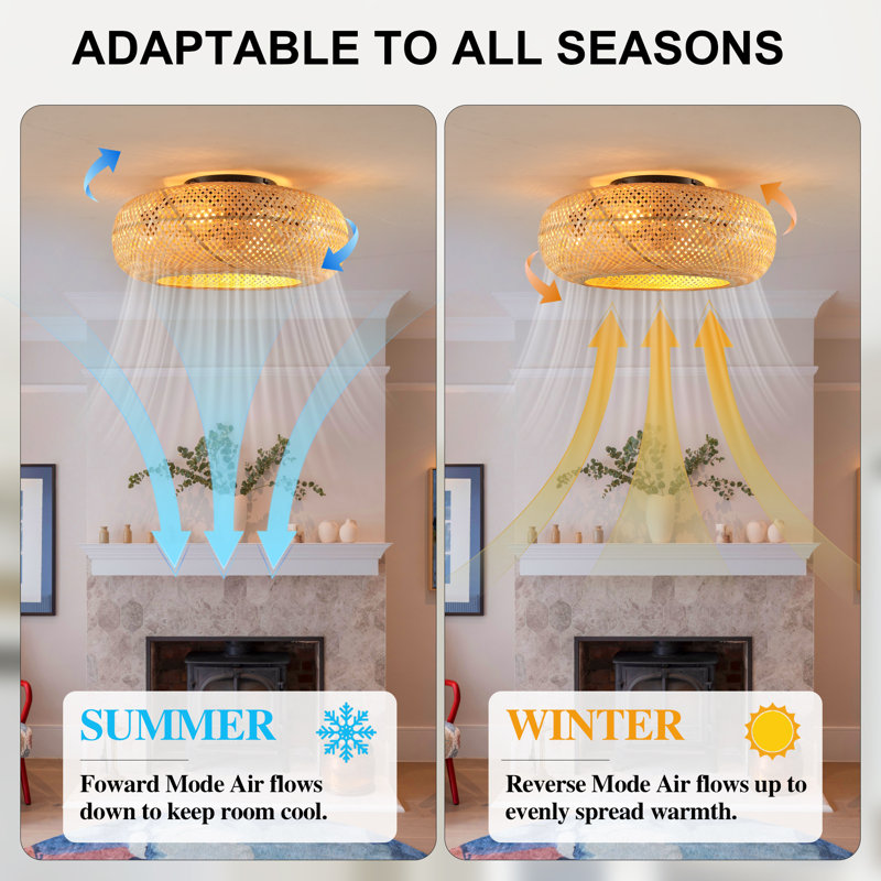 19.68'' Caged Ceiling Fan With 4 Lights Kit And Remote Control