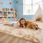 Tapis beige à poils longs moelleux et moelleux, idéal pour les salons, les chambres à coucher et les chambres d'enfants-6423596-21265675