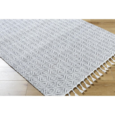 Bhaktivinod Hand Woven Area Rug