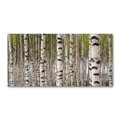 Birch Forest - Wrapped Canvas Print