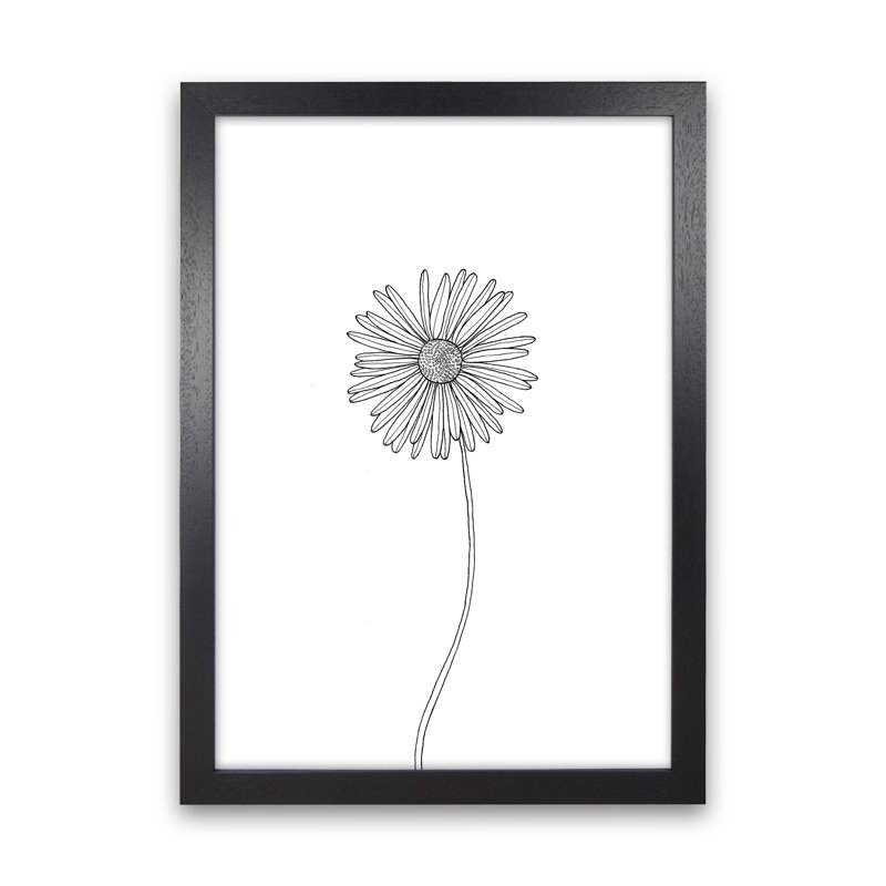 Daisy by Carissa Tanton - Print, 34cm H x 25cm W x 3cm D, Black Framed