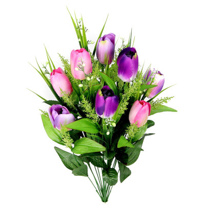 Tulipe August Grove®