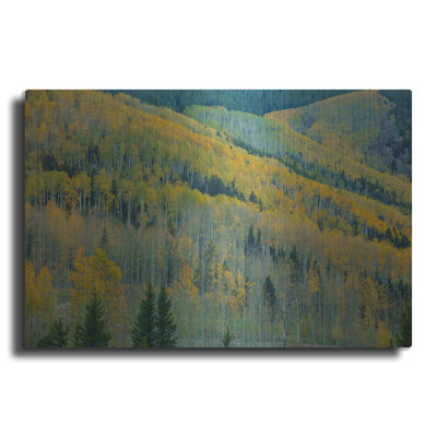 «Aspen Escalators» par Bill Sherrell, art mural en métal