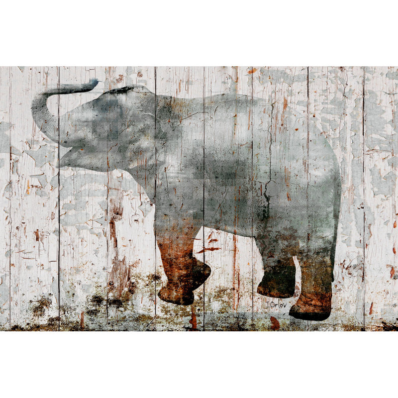 « gray éléphant », reproduction sur toile tendue, H 24 po x l 36 po x P 1,5 po