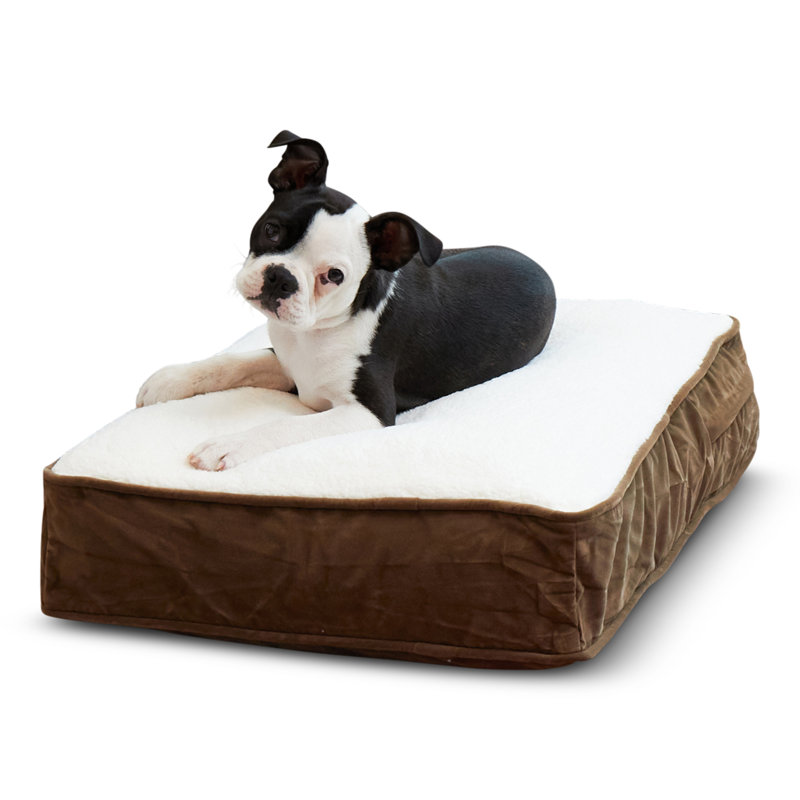 Lit pour chien Olivarez Classic, Très petit (L 24 po x l 18 po x H 5 po), Café au lait