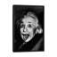 Albert Einstein, collage de sa langue, reproduction sur toile tendue-856412114-935885671-935885674