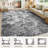 Dagmar Area Rug Living Room Rugs - Large Soft Indoor Neutral Modern Abstract Low Pile Washable Rug Carpet for Bedroom Dining Room Farmhouse Home Office-752015584-750314836