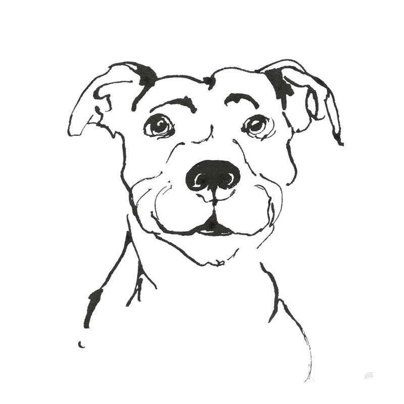 «Line Dog Pitbull I» par Chris Paschke, reproduction d'art sur toile tendue, H 12 po x l 12 po