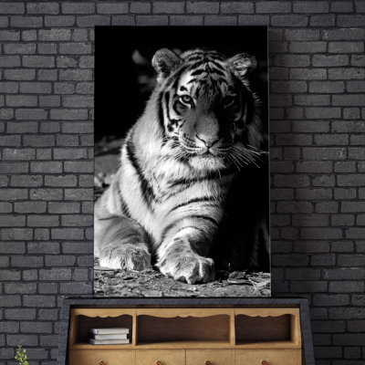 Tiger Repose - Photograph on Canvas