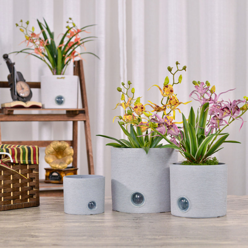 Ensemble de 3 pots auto-arrosants pour plantes d'intérieur, 5 po 6 po 8 po