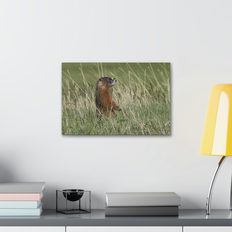 Art mural, chasse à la marmotte à ventre jaune, chasse à la marmotte à ventre jaune, H 12 po x l 18 po