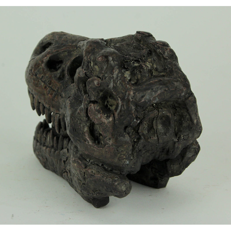 Statue de fossile de tête de dinosaure Hadrian Tyrannosaurus Rex petit