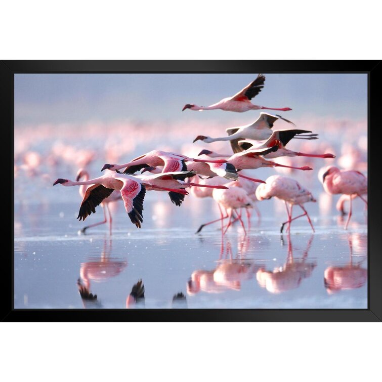 Flamingo Pictures Wall Art Canvas Prints Posters Print Bird Animal  Photography Wall Decor - Perfect For Modern Living Room, Office, Bedroom  Kids Room