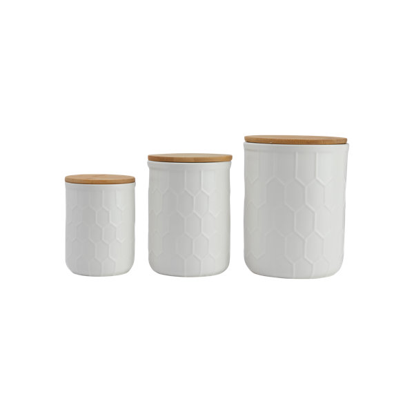 https://assets.wfcdn.com/im/51634443/resize-h600-w600%5Ecompr-r85/2310/231048787/Ceramic+%2F+Porcelain+Canister.jpg