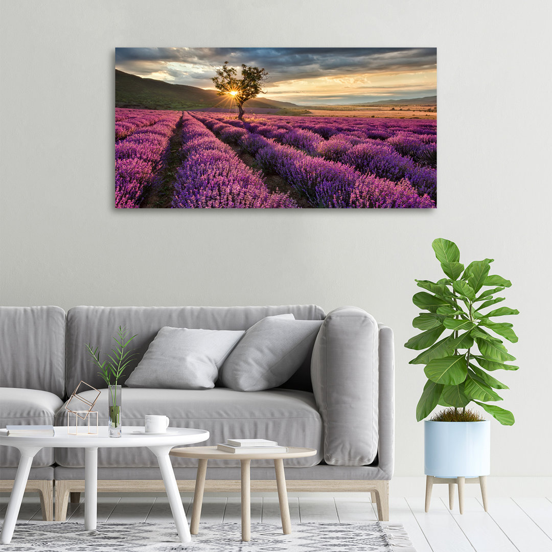 Lavendelfeld - Kunstdrucke auf Leinwand - Wrapped Canvas