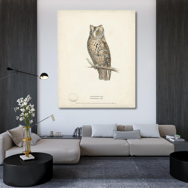 «Red Barrel Studio® Meyer, H.L., toile tendue avec châssis: Scops, Eared Owl, H 44 po x l 36 po