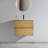 66 24'' Wall Mounted Single Bathroom Vanity Base Only-101092141