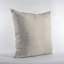 Coussin Plutus-62523894-62523895