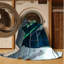 Tapis Astro Veil-229665904