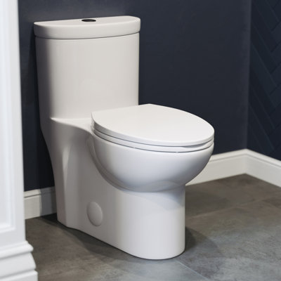 Sublime One Piece Elongated Toilet Dual Flush