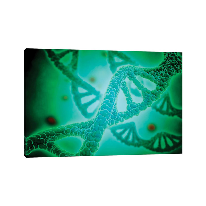 Microscopic View Of DNA II 1 Piece Wrapped Canvas Wall Art, 45.72cm H x 66.04cm W