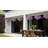 Daisy Arrangement-313320064